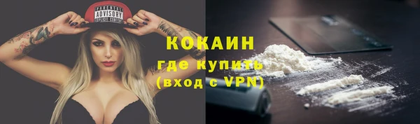 прущие крисы Верея