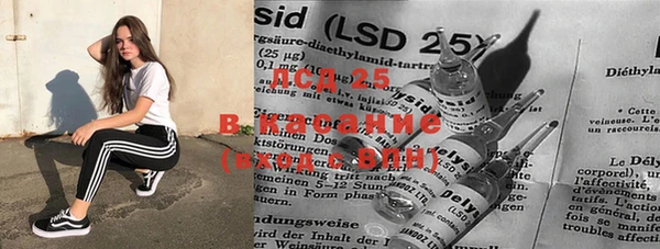 прущие крисы Верея
