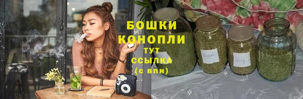 spice Верхний Тагил