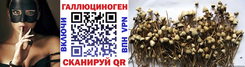 Псилоцибиновые грибы мицелий  Буй 